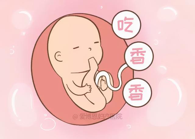 国内助孕代生宝宝在肚子里吃什么