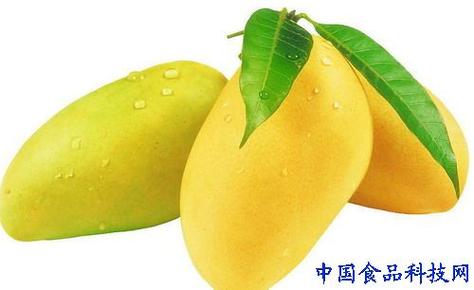 十个月第三代助孕代生宝宝吃什么水果