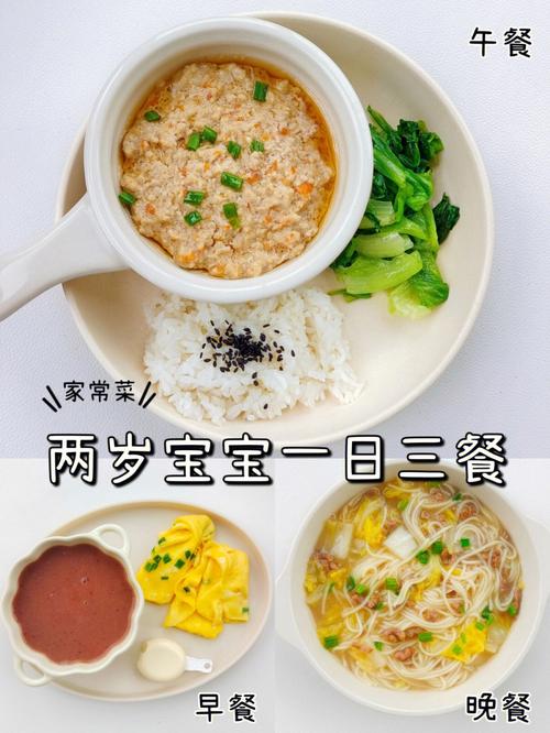 2岁第三代助孕代生宝宝吃什么菜好